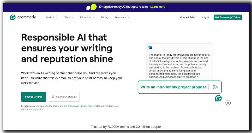 Screenshot of Grammarly Pro website